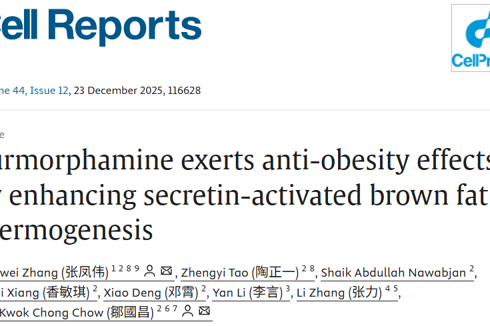 医学部张凤伟助理教授在Cell Reports发表关于靶向Secretin受体抗肥胖研究成果