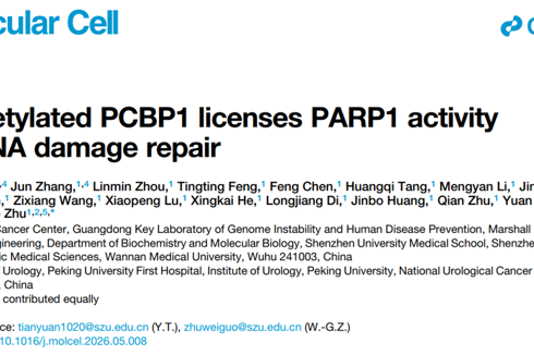 朱卫国教授团队在Molecular Cell发表PCBP1调控PARP1活性及DNA损伤修复研究成果