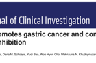 王乃涛教授团队在Journal of Clinical Investigation发表胃癌发生机制的最新研究成果