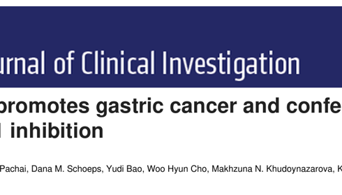 王乃涛教授团队在Journal of Clinical Investigation发表胃癌发生机制的最新研究成果