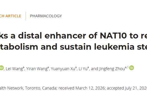 周景峰团队在PNAS发表融合基因劫持远端增强子驱动NAT10转录维持白血病干细胞干性研究成果