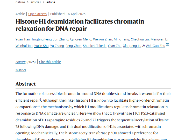 Professor Zhu Weiguo's team at Shenzhen University makes breakthrough in cancer prevention and treatment research, published in Nature