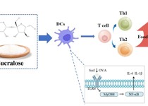 医学部公共卫生学院硕士研究生颜溧在Journal of Agriculture and Food Chemistry上发表三氯蔗糖通过调节DC细胞加重食物过敏的研究成果
