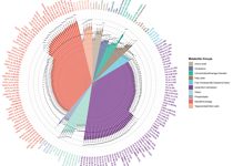 医学部公共卫生学院胡付兰副教授团队在《European Journal of Epidemiology》上发表文章