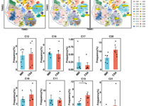 医学部刘甲野课题组在《Frontiers in Immunology》发表&nbsp;HIV 免疫重建机制研究成果