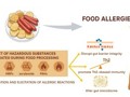 医学部公共卫生学院吴序栎课题组在《Journal of Agriculture & Food Chemistry》发表食品加工产生的副产物对食物过敏影响的综述文章
