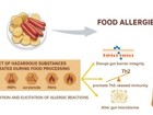 医学部公共卫生学院吴序栎课题组在《Journal of Agriculture & Food Chemistry》发表食品加工产生的副产物对食物过敏影响的综述文章