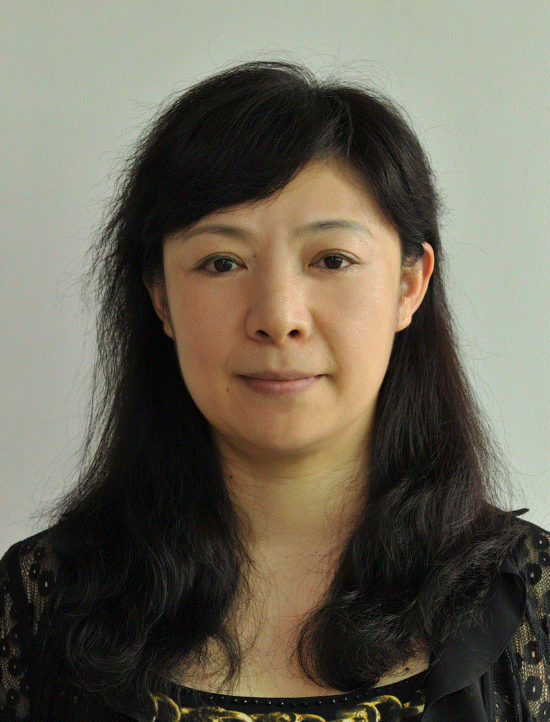 Chen Hui(Professor)
