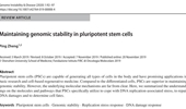 Maintaining genomic stability in pluripotent stem cells