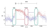 The impact of transcription-mediated replication stress on genome instability and human disease