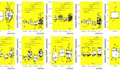 Epithelial tumor compartment- and adjacent stromal compartment-specific expression of PARP1 in different anatomical sites in patients with HGSOC