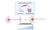 DNA damage accumulation in aging brain and its links to Alzheimer’s disease progression