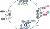 Genome Instability & Disease Volume 3. Issue 1 & 2 简介