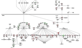 Differential molecular alterations promoting non-small cell lung cancer under hypoxia