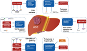 Genome Instability & Disease Volume 4. Issue 4 简介