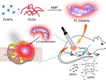 医学部生物医学工程学院黄鹏特聘教授团队在《ACS Nano》发表文章