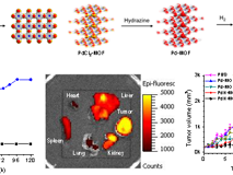 单原子钯助力MOF材料用于肿瘤氢热治疗