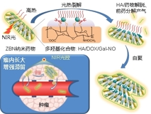 医学部何前军教授团队在国际顶级学术期刊《Advanced Materials》上发表文章