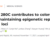 医学部舒兴盛应颖团队PNAS发文揭示锌指蛋白转录因子促进结直肠癌发生的表观遗传学机制