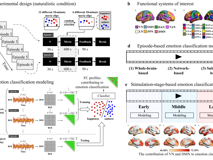 生物医学工程学院梁臻老师在脑神经科学顶级期刊《NeuroImage》发表论文