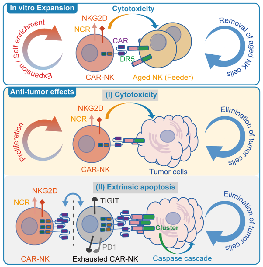 Zhu-melecular thereapy2 Zhu-melecular thereapy2