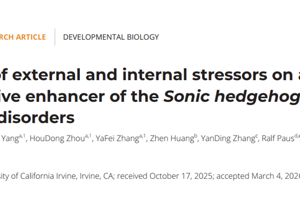 乐志操教授团队在PNAS发表多种应激压力通过毛囊应激增强子导致毛发异常研究成果