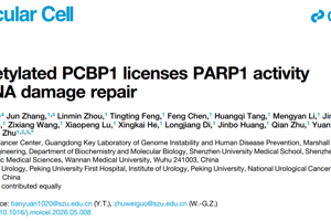 朱卫国教授团队在Molecular Cell发表PCBP1调控PARP1活性及DNA损伤修复研究成果
