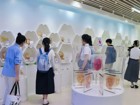 【研招宣传】深圳大学医学部口腔医学院2025年优秀大学生“暑期夏令营”圆满落幕