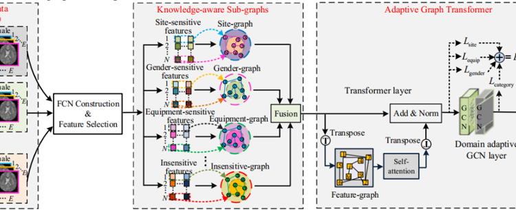 医学部雷柏英教授团队在IEEE Transactions on Medical Imaging发表使用rs-fMRI进行脑疾病诊断研究成果