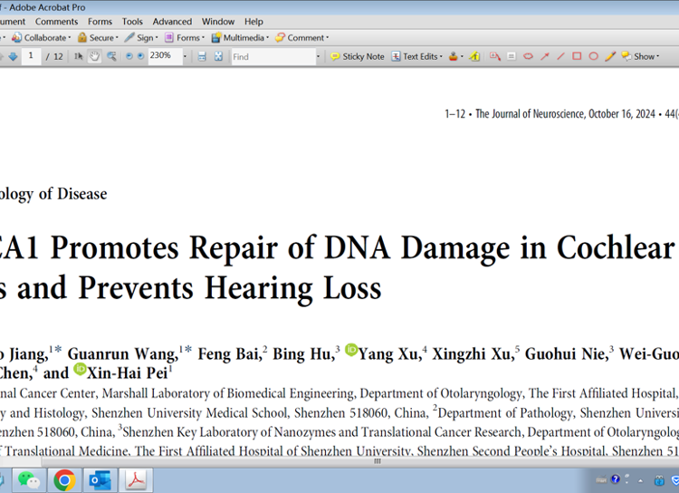 医学部裴新海教授团队在《Journal of Neuroscience》发表BRCA1修复毛细胞DNA损伤研究成果