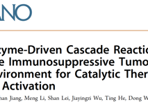 医学部黄鹏教授团队在ACS Nano发表双酶级联反应调控肿瘤免疫微环境研究成果
