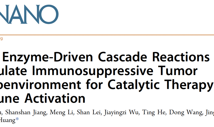 医学部黄鹏教授团队在ACS Nano发表双酶级联反应调控肿瘤免疫微环境研究成果