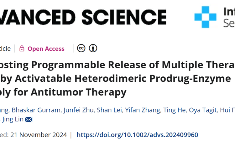 医学部林静教授团队在Advanced Science发表异二聚体前药酶组装体用于释放抗肿瘤制剂的研究成果