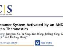 医学部董海峰教授团队在J. Am. Chem. Soc.发表了一种基于“与”逻辑门的诊疗新策略研究成果