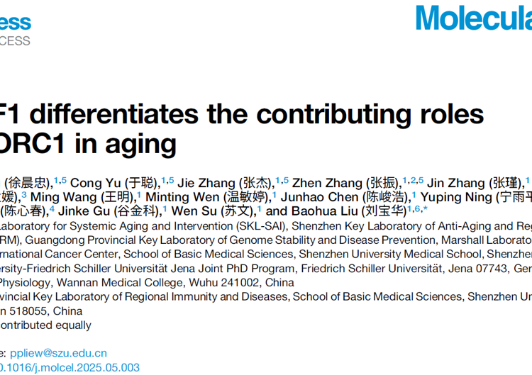医学部刘宝华教授团队在Molecular Cell发表YTHDF1调控衰老新机制研究成果