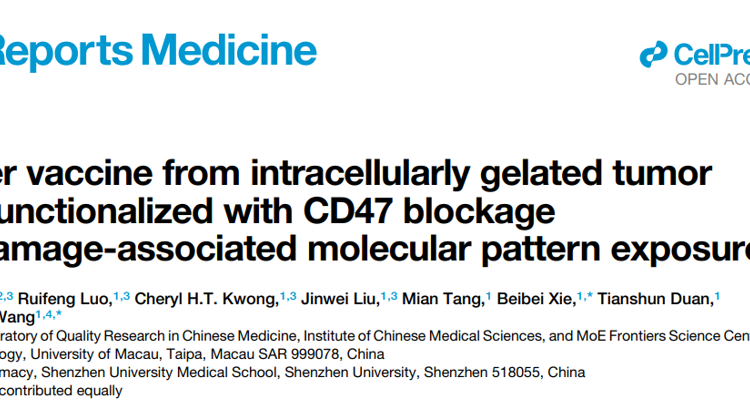 医学部高成助理教授在Cell Reports Medicine发表胞内凝胶化全肿瘤细胞疫苗研究成果