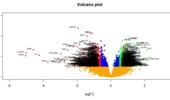 Bioinformatics and next generation sequencing data analysis to identify key genes and pathways influencing in Parkinson's disease