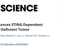 医学部初碧珠助理教授团队在Advanced Science发表重建STING通路增强免疫治疗效应的研究成果