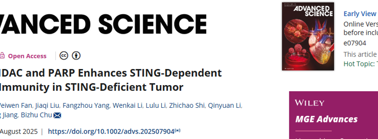 医学部初碧珠助理教授团队在Advanced Science发表重建STING通路增强免疫治疗效应的研究成果
