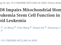 医学部于力教授/周景峰助理教授团队在自然指数期刊Cancer Research发表白血病干细胞研究成果
