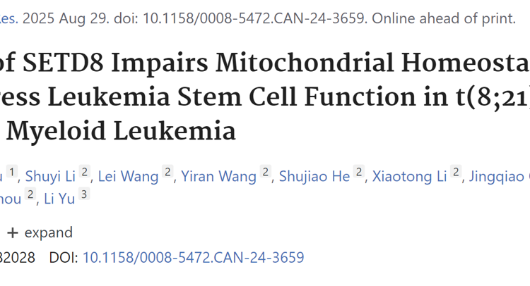 医学部于力教授/周景峰助理教授团队在自然指数期刊Cancer Research发表白血病干细胞研究成果