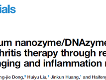 医学部董海峰教授团队在Cell Biomaterials发表纳米酶治疗类风湿关节炎研究成果