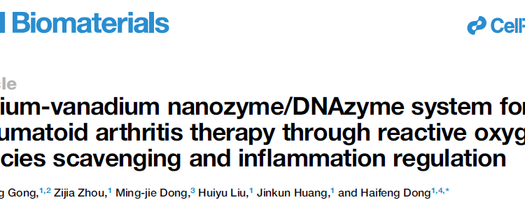医学部董海峰教授团队在Cell Biomaterials发表纳米酶治疗类风湿关节炎研究成果