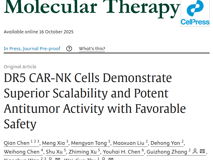 医学部朱卫国教授团队在Molecular Therapy发表关于DR5靶向抗肿瘤疗法新进展研究成果