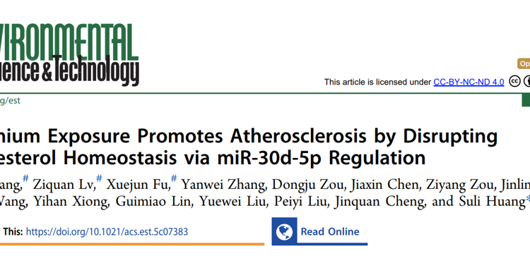 医学部黄素丽副教授团队在自然指数期刊Environmental Science & Technology发文解析重金属镉暴露致缺血性脑卒中的新机制