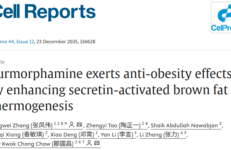 医学部张凤伟助理教授在Cell Reports发表关于靶向Secretin受体抗肥胖研究成果