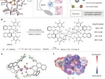 医学部王锐院士团队在Science Advances报道手性药物重要进展