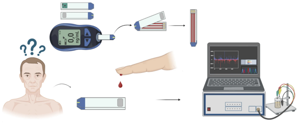 A diagram of a blood test

AI-generated content may be incorrect.
