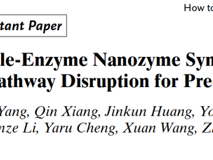 医学部董海峰教授团队在Angew. Chem. Int. Ed.发表原子级精度纳米酶同步破坏线粒体双通路用于精准抗癌研究成果