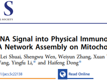 医学部董海峰教授团队在J. Am. Chem. Soc.发表miRNA响应型精准免疫调控研究成果